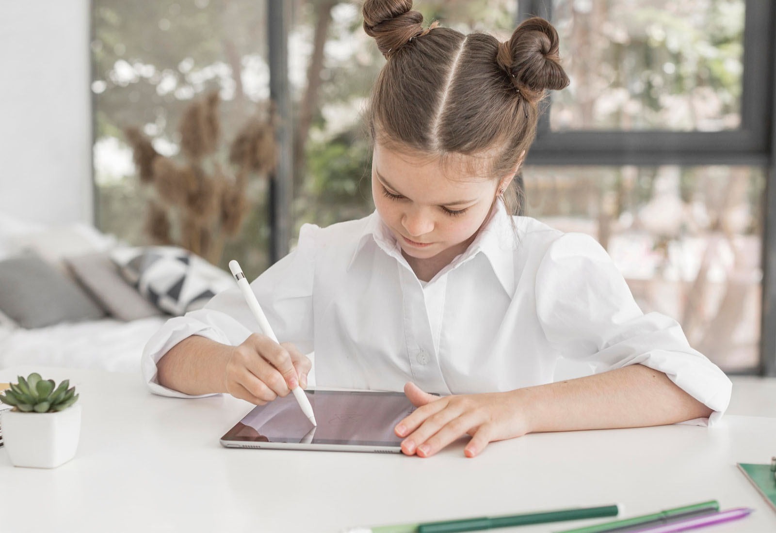 Lithium Polymer Battery for learning device