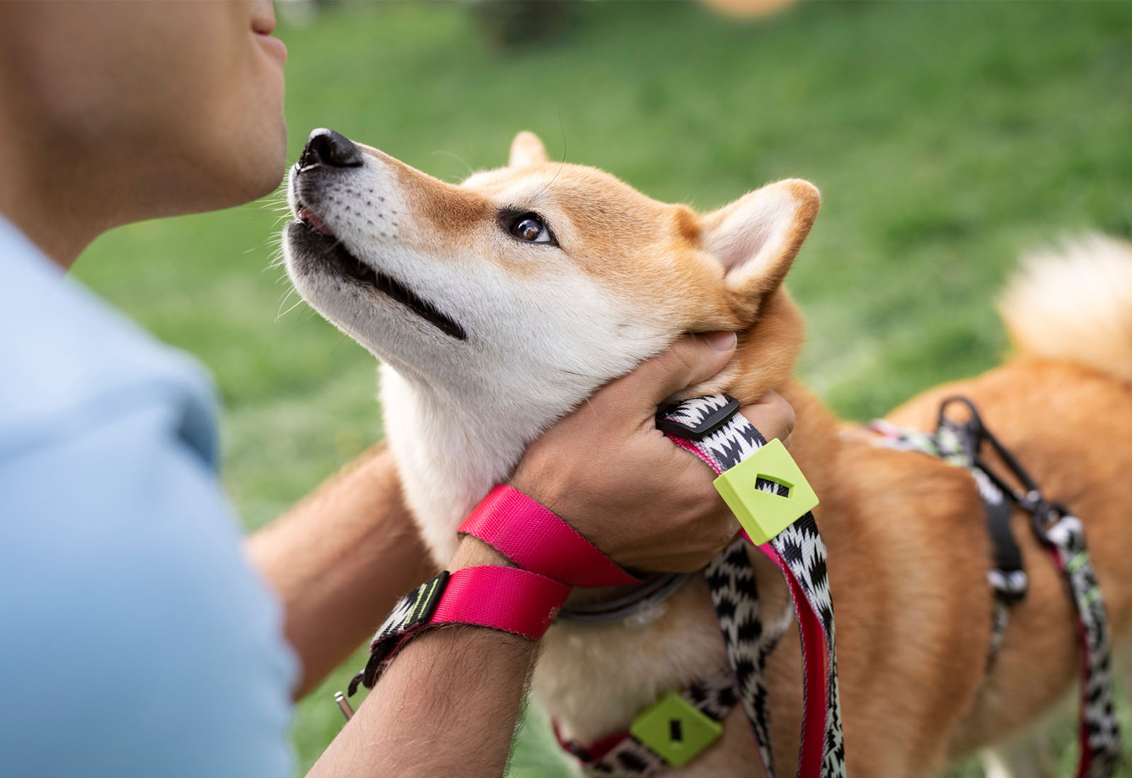 Durable Pet Tracker Lipo Battery