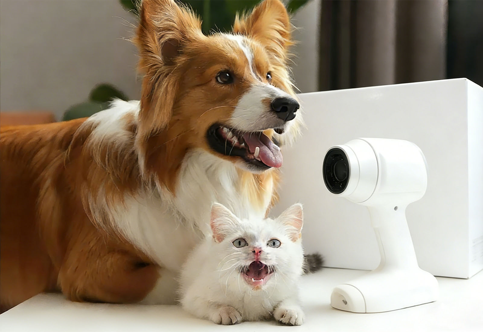 Li-Ion Battery for Pet X-Ray Scanner