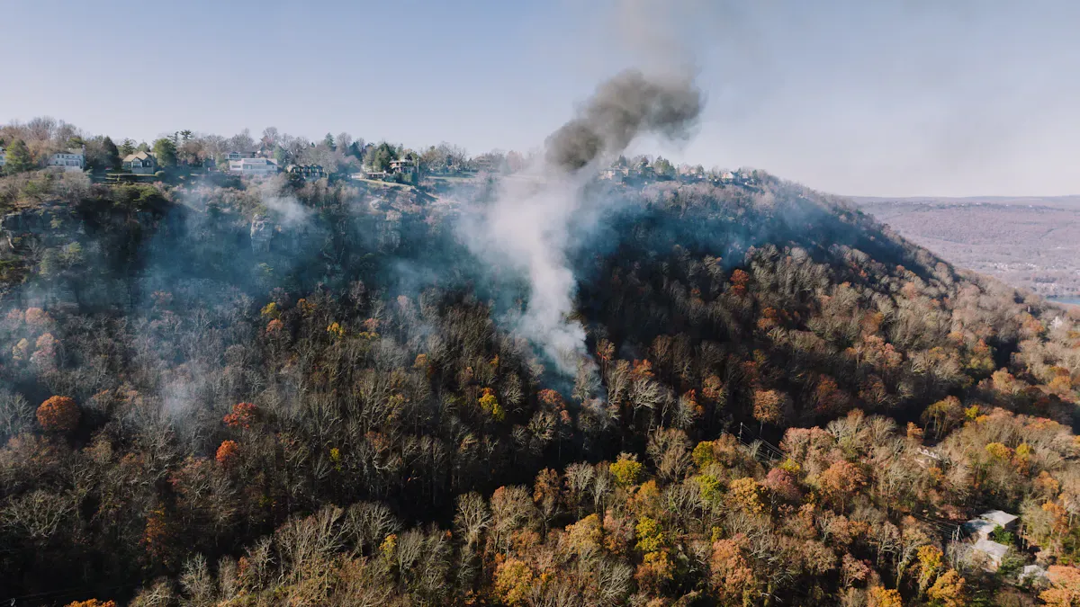 Firefighting Drones in Wildfires